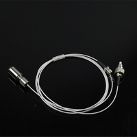 Piezas de equipo láser 450 nm 1.6W Módulo láser acoplado de fibra azul para detección de caries y tratamiento con caries