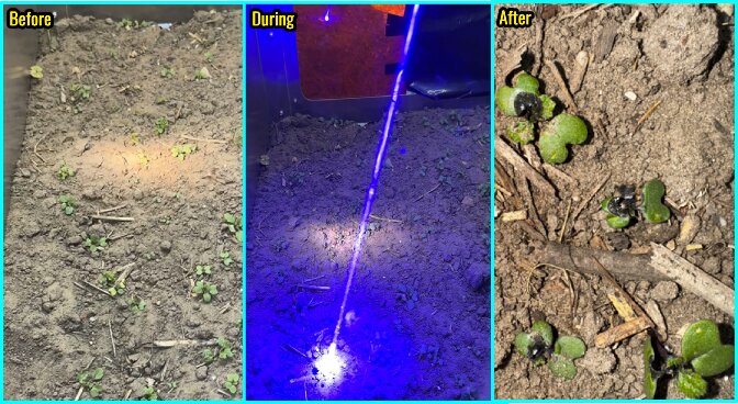 M&oacute;dulo l&aacute;ser de 435 nm 80W